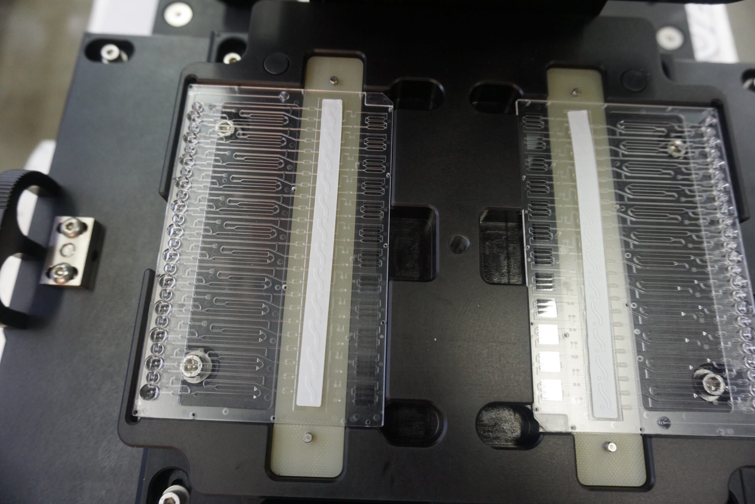 Membrane Filter on Fluidic Card1